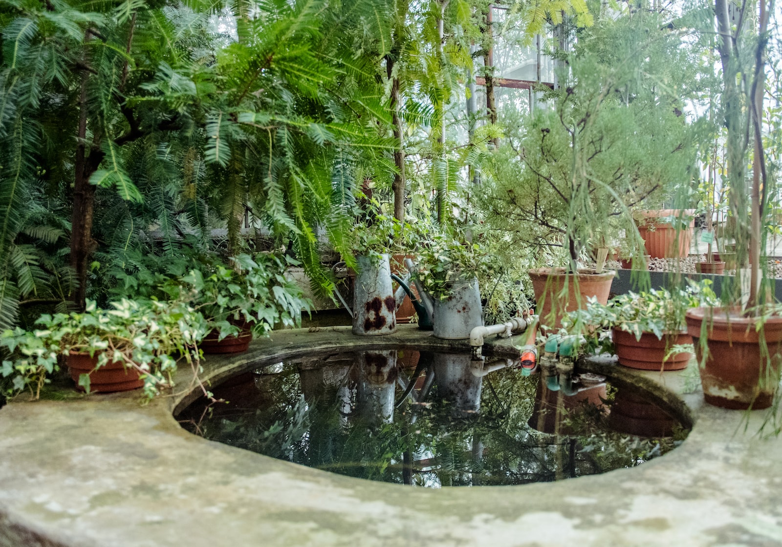 bassin de jardin hors sol