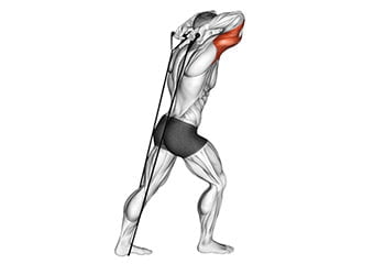 Exercice extension triceps nuque avec élastique : Parfait pour travailler longue portion triceps