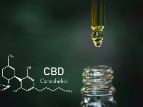 Huile de CBD : un allié naturel pour le bien-être